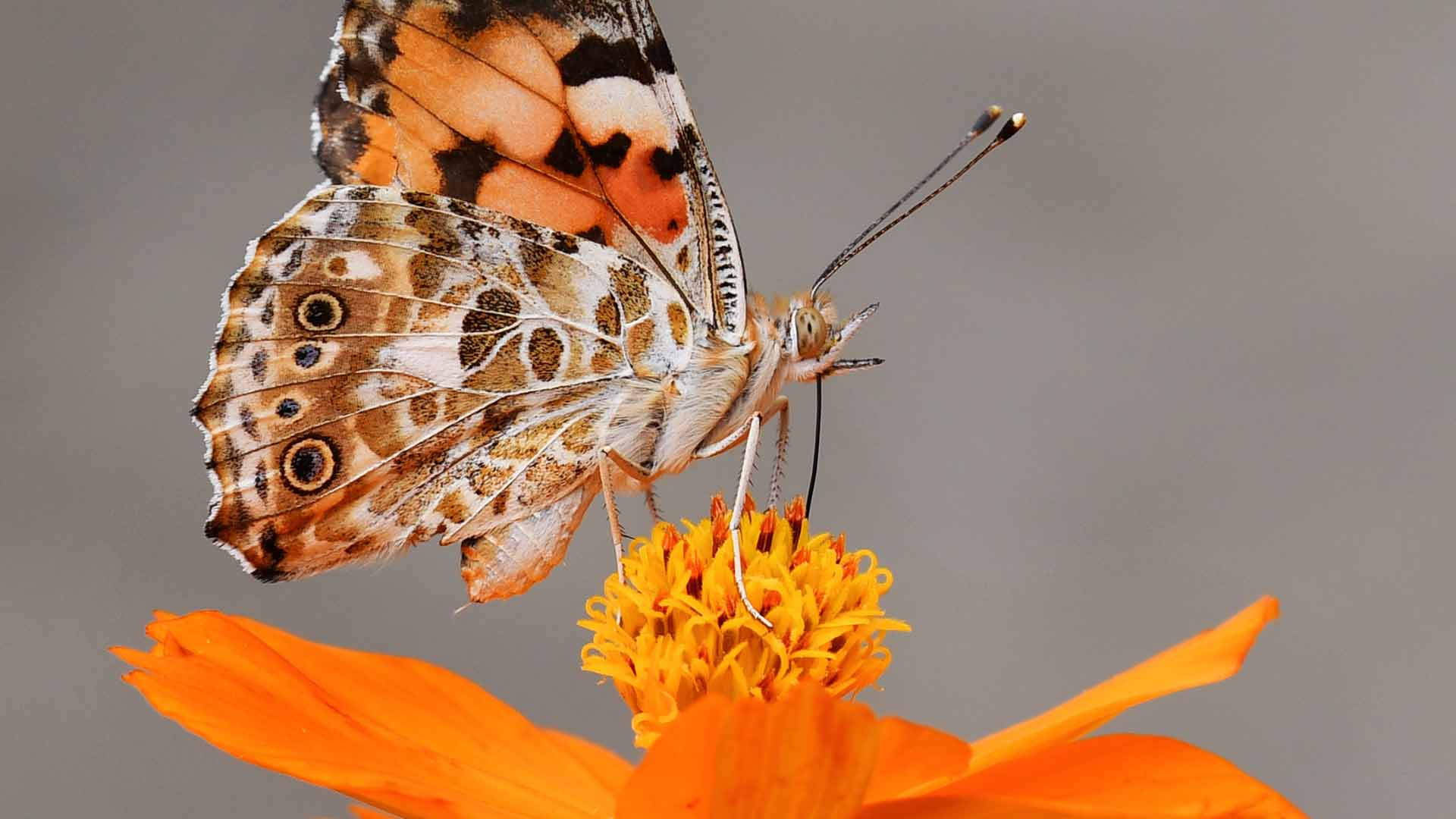 Positive Habits: A Top 3 Hack for Better Personal Growth