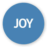 JOY 2 150